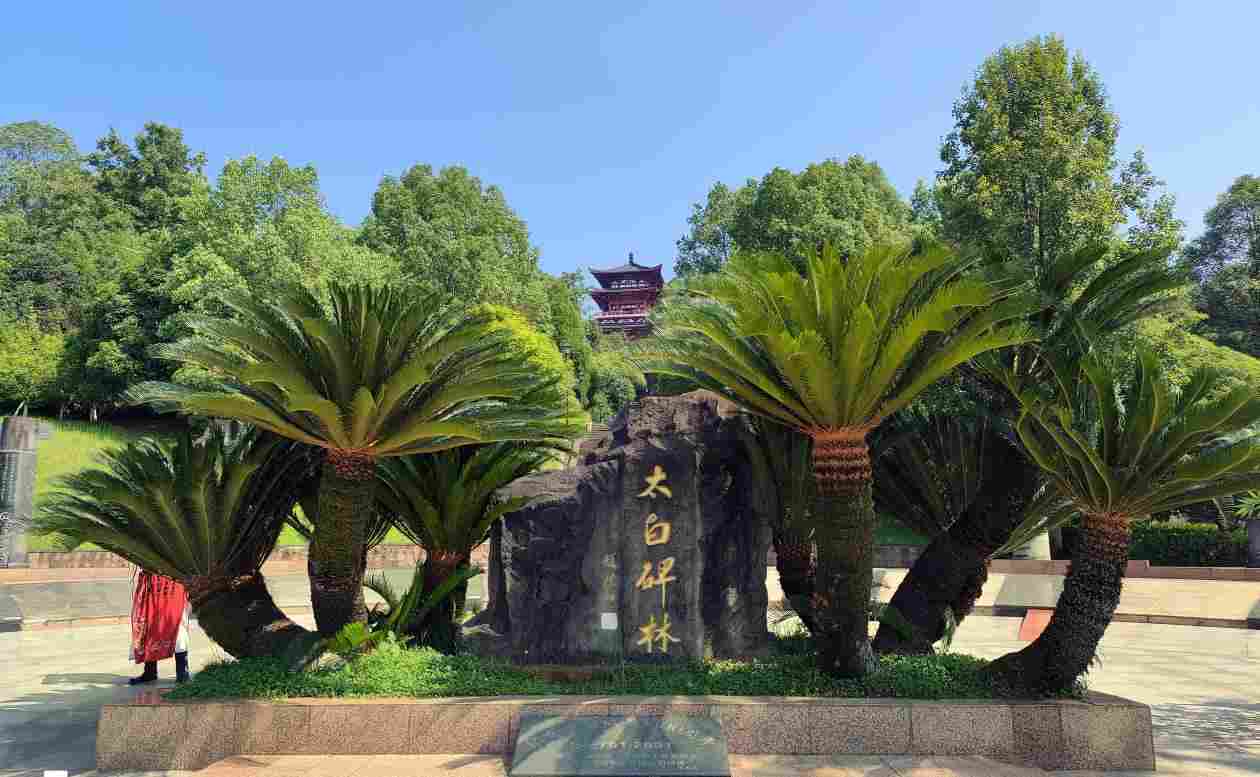 图片10.jpg