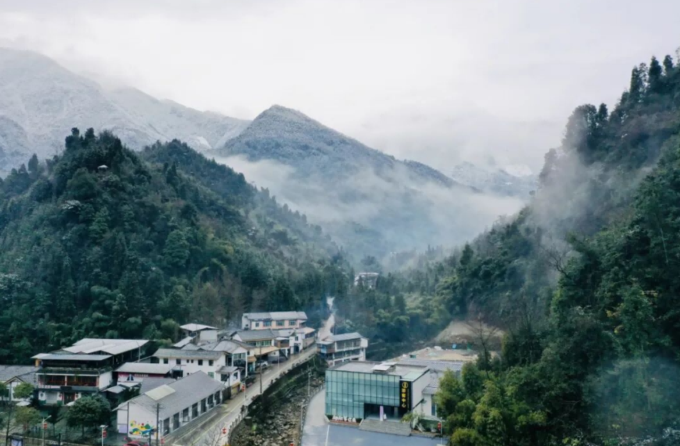 92d5d819-4f4f-445f-b4b2-fd875ddc64a5(1).png 92d5d819-4f4f-445f-b4b2-fd875ddc64a5(1).png